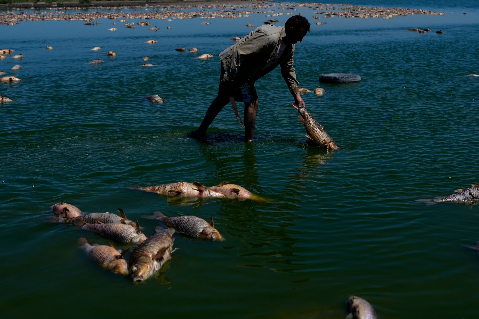 A man looks for live fish along the Salado River on January 22, 2023.