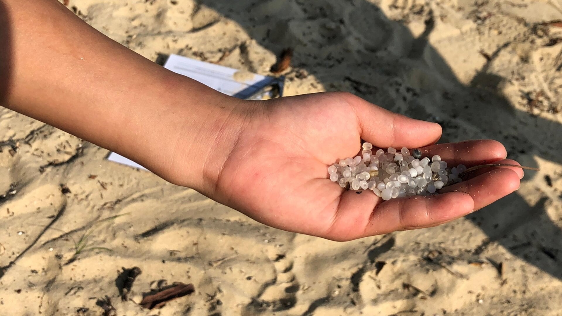 Plastic pellets, known as “nurdles,” like the ones pictured here have been washing up in droves on French beaches.