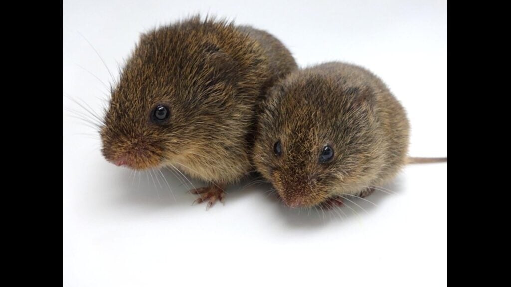 Photo: Nastacia Goodwin