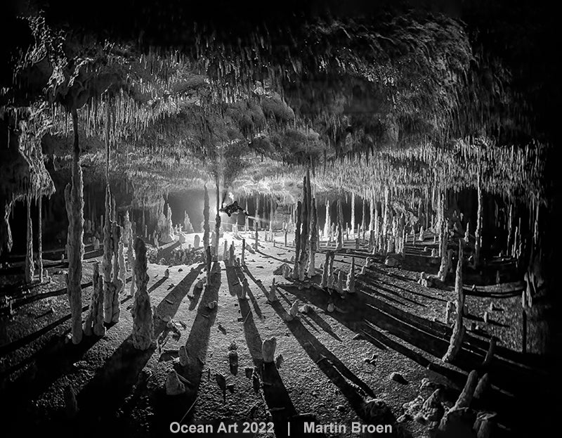 Photo: Martin Broen/Ocean Art