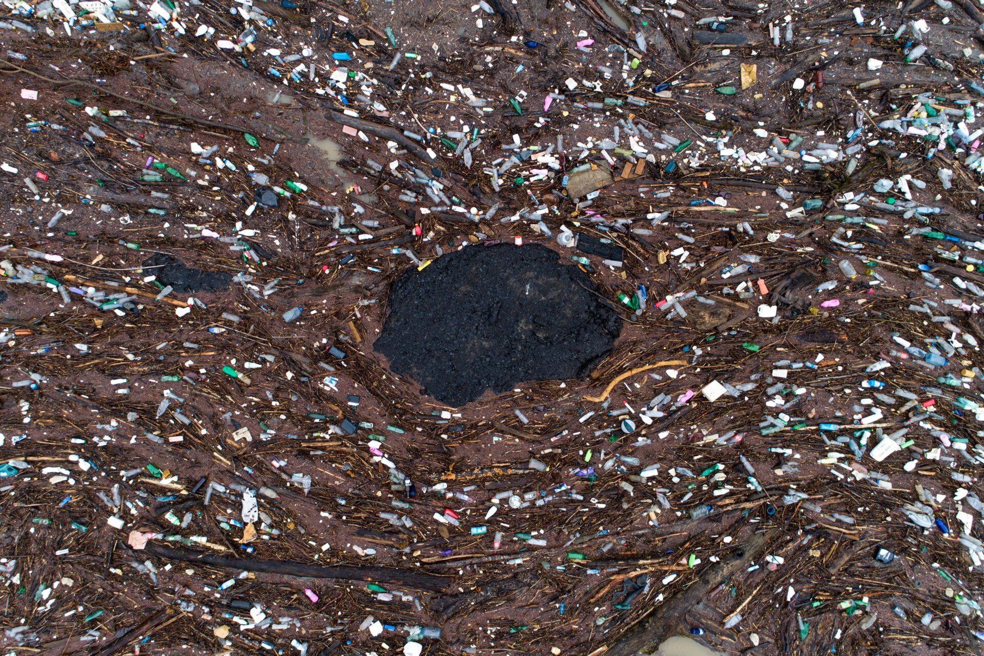 Swirls of plastic pollution amidst driftwood.