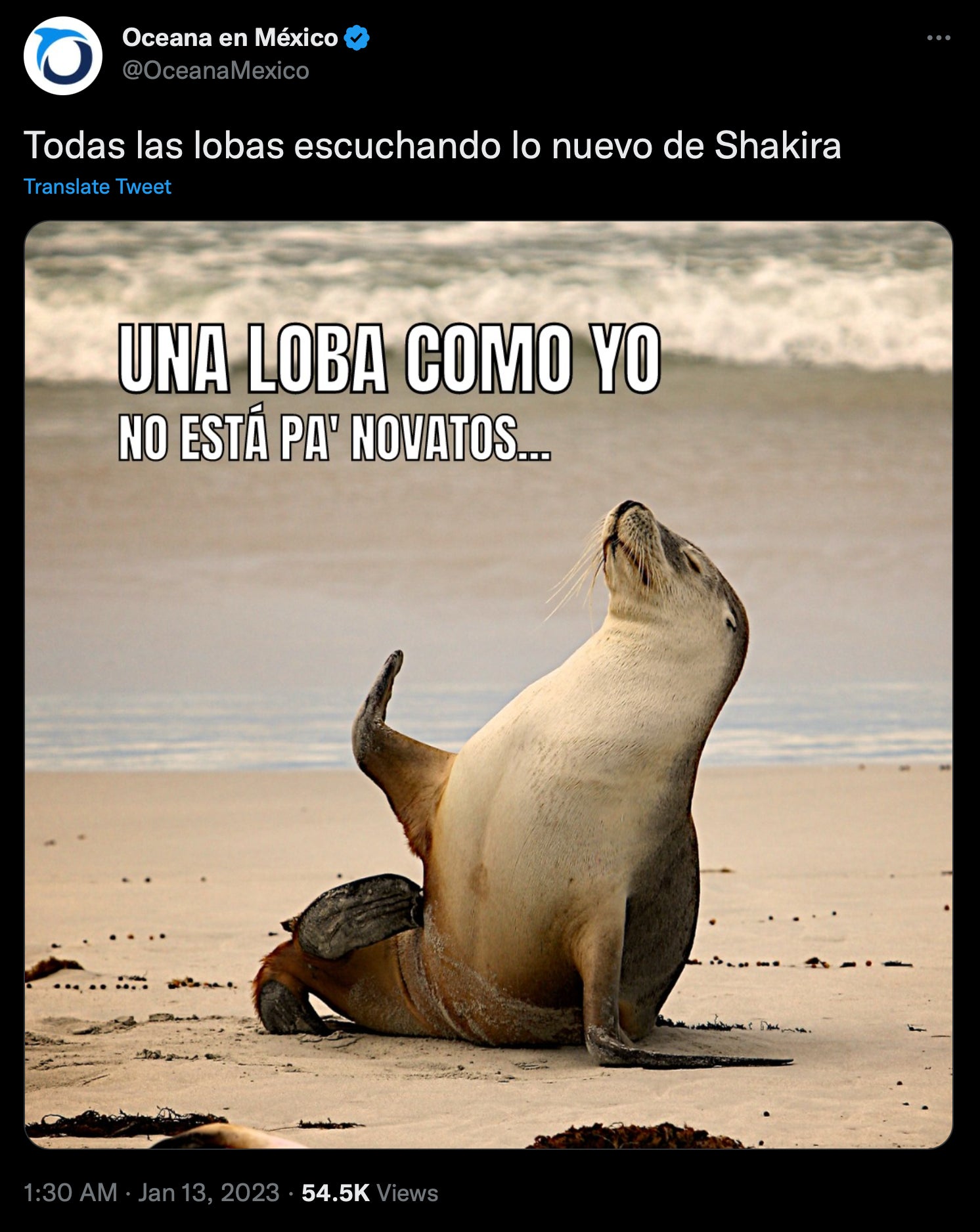 Screenshot: Jody Serrano / Gizmodo / Oceana in Mexico