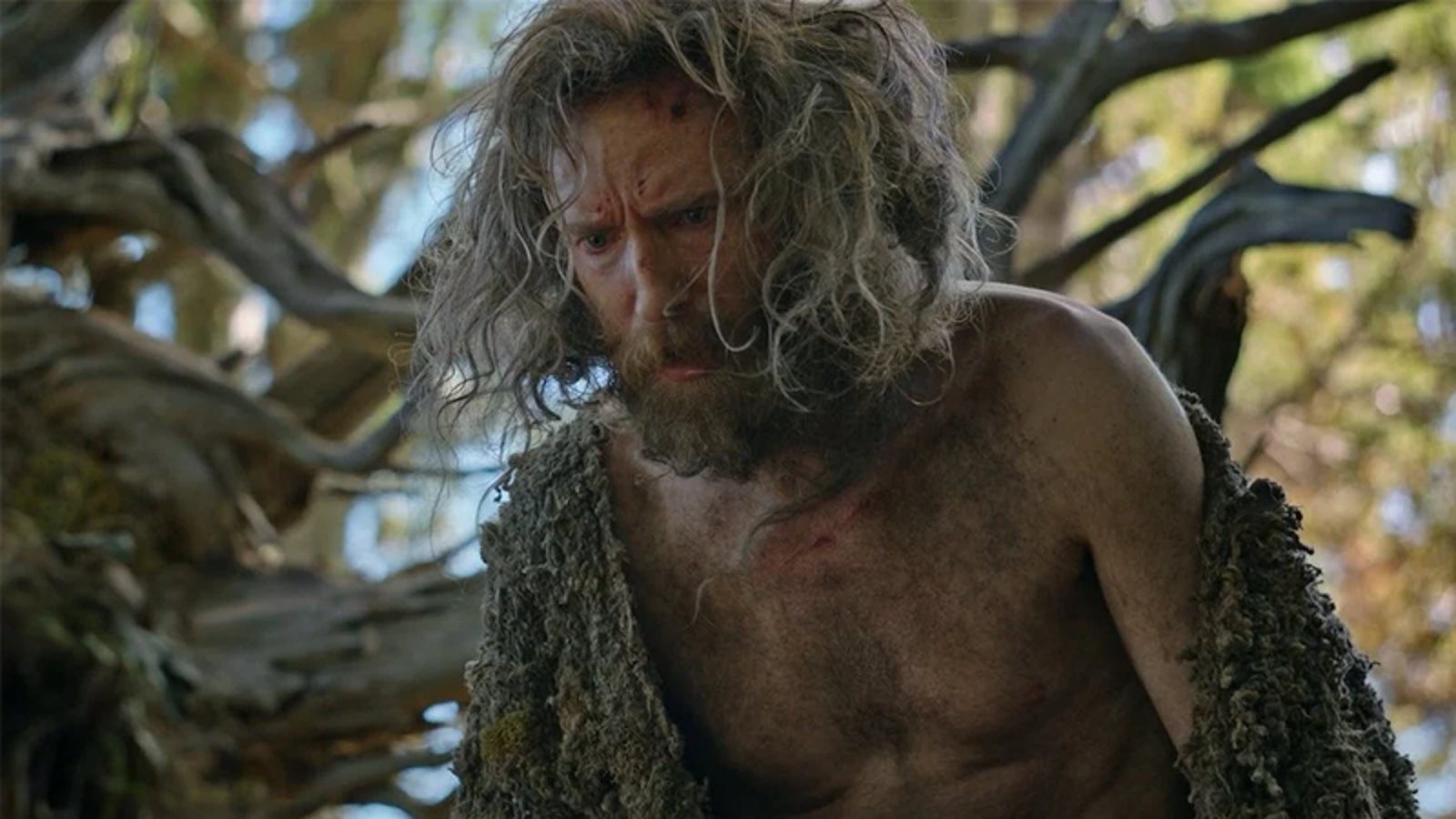 Image: Amazon Studios