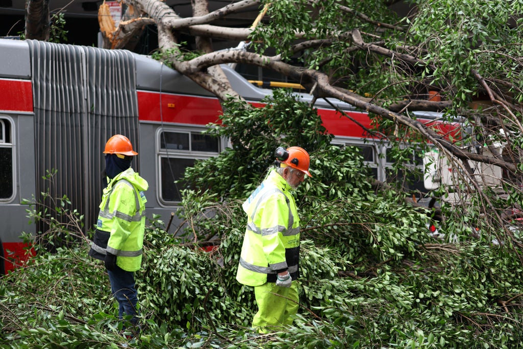 San Francisco Department of Public Works workers cut up a tree that fell on a SF MUNI bus after a storm passed through the area on January 10, 2023 in San Francisco, California. 