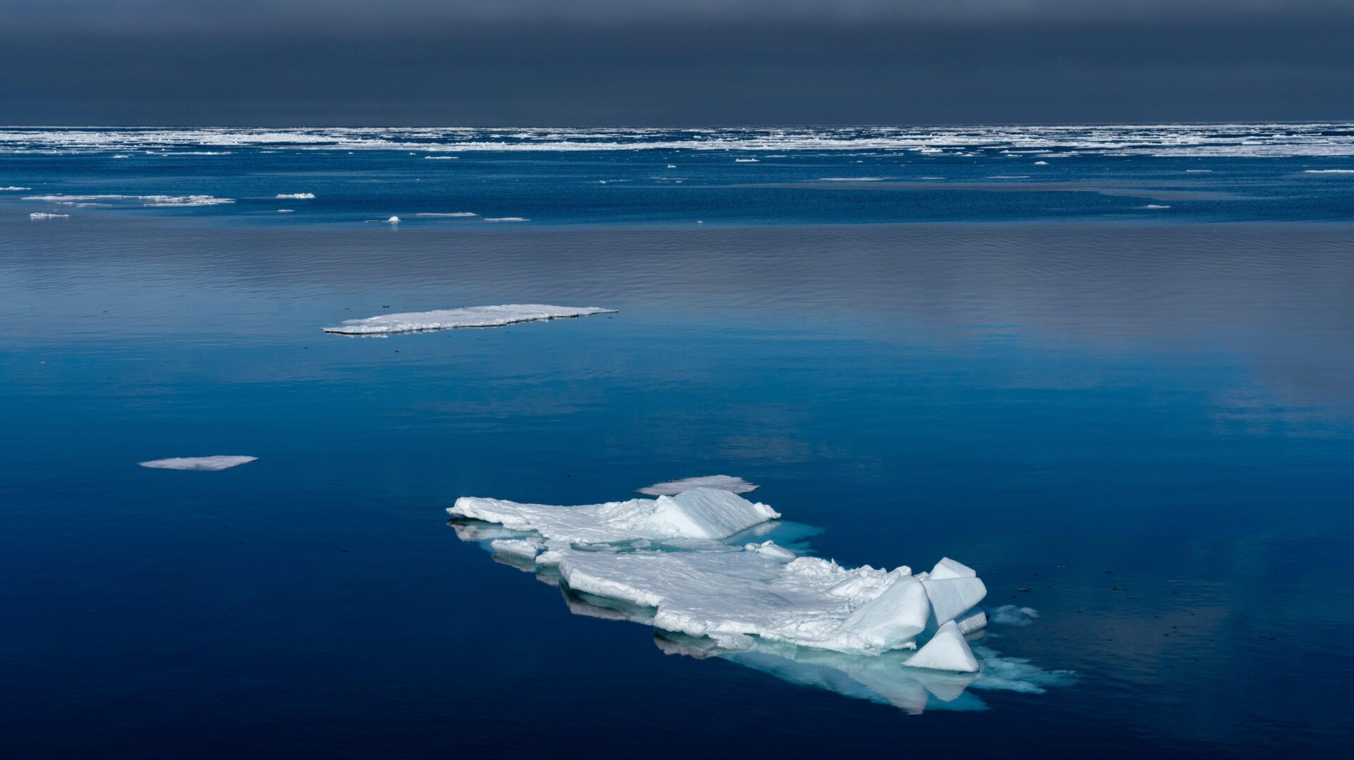 Spitsbergen, Svalbard Islands, Norway.