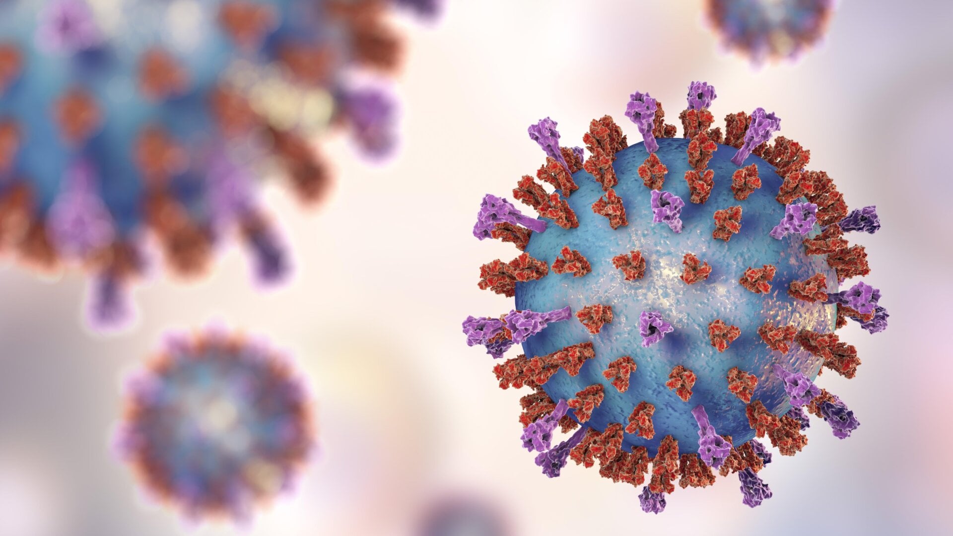 A 3D illustration of the Respiratory syncytial virus (RSV),