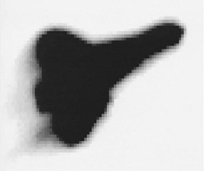 Image: Associated Press