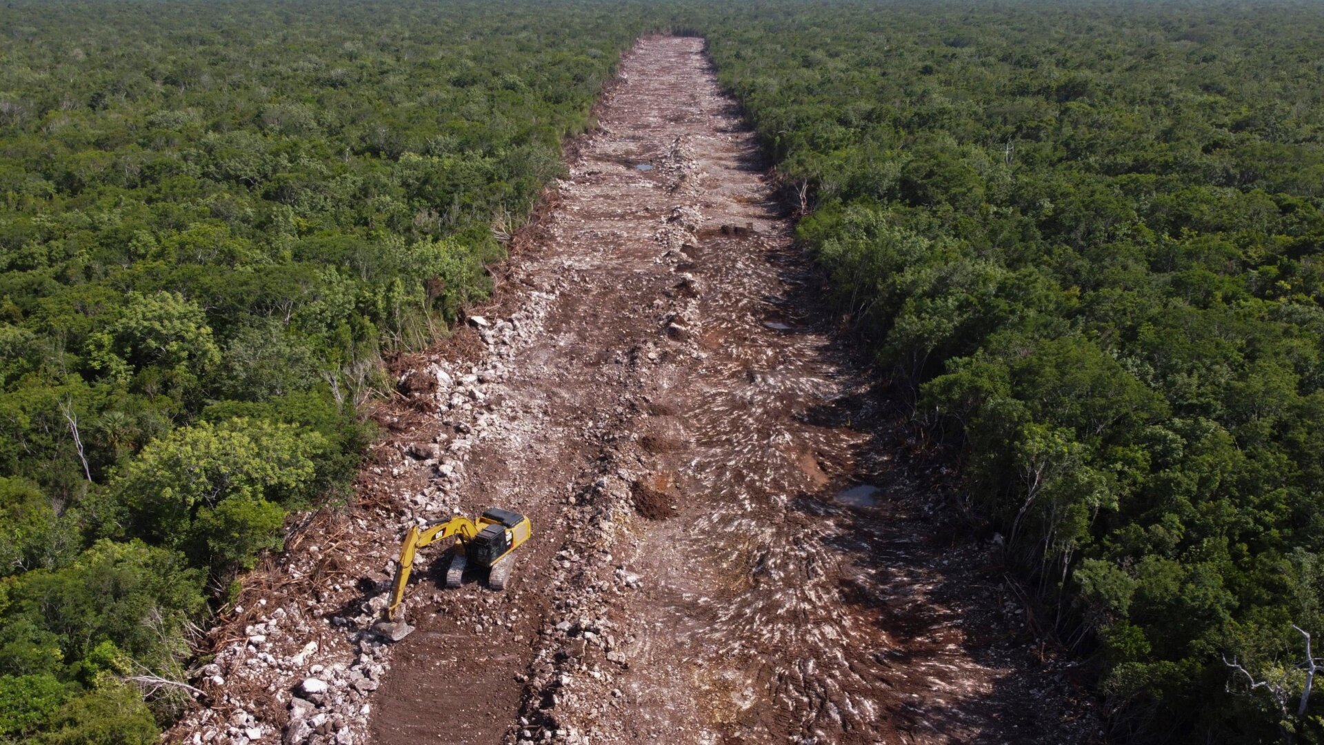 A bulldozer clears an area of forest that will be the line of the Maya Train in Puerto Morelos, Quintana Roo state, Mexico, Tuesday, August. 2, 2022.