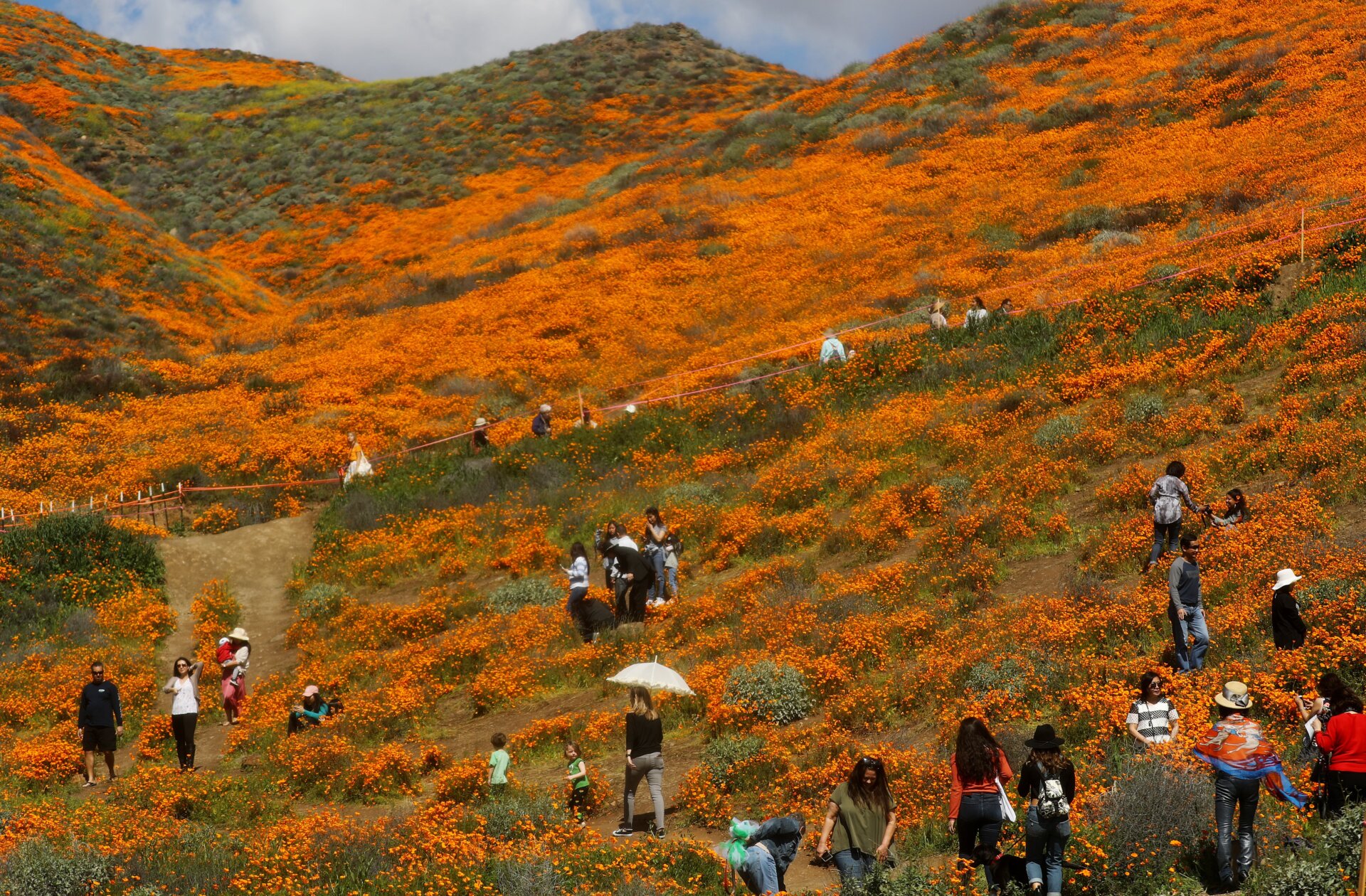 Crowds swarm Lake Elsinore in 2019 to pose with the poppies.