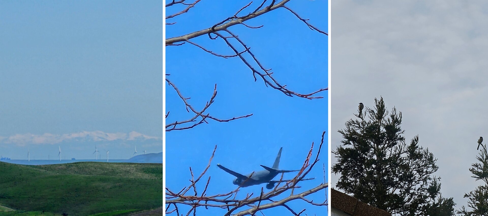 Even with two dedicated telephoto cameras, it’s not always the best at zooming in to see what’s yonder. 
