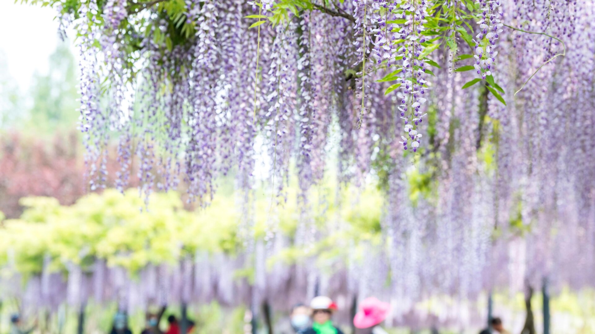 Photo: Imaginechina via AP Images