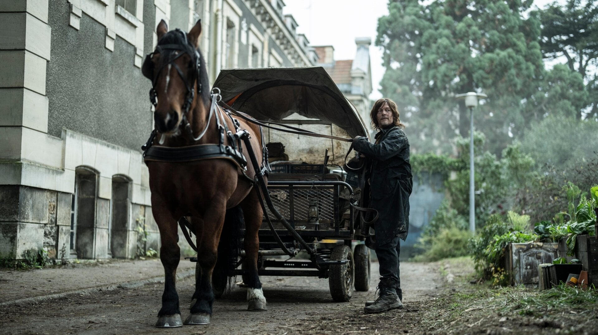 A first-look image from The Walking Dead: Daryl Dixon
