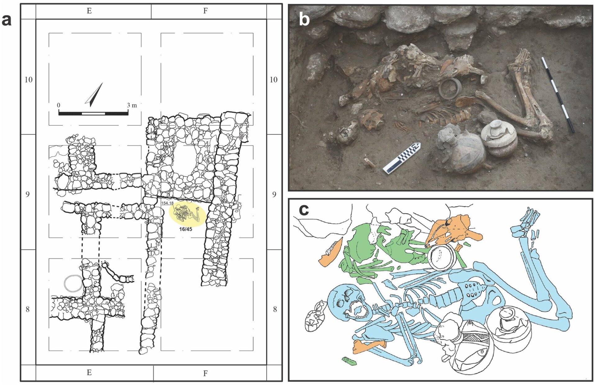 a) Location of the tomb highlighted in yellow. b) The skeletons as they were found. 