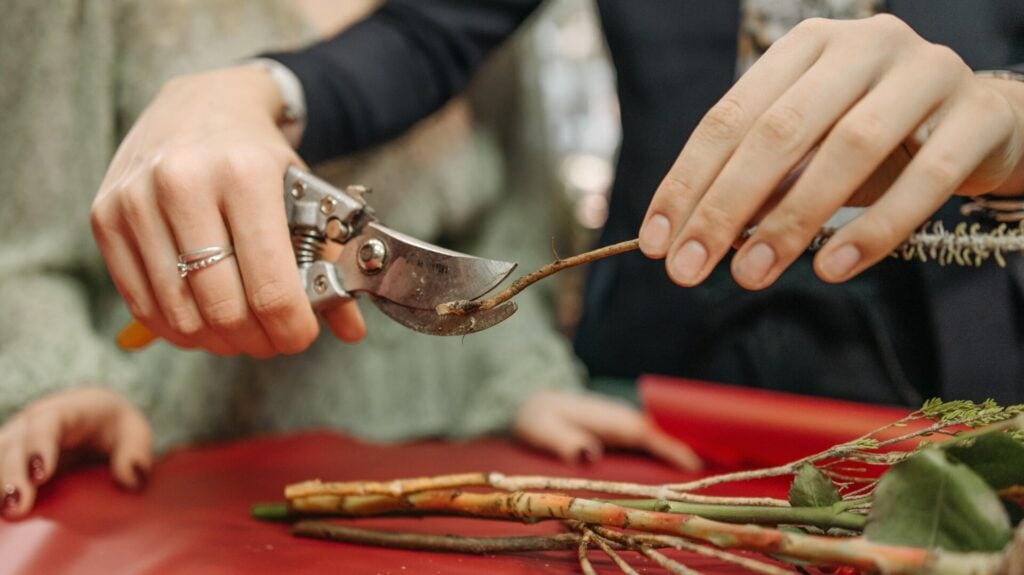 Photo: Pavel Danilyuk/Pexels