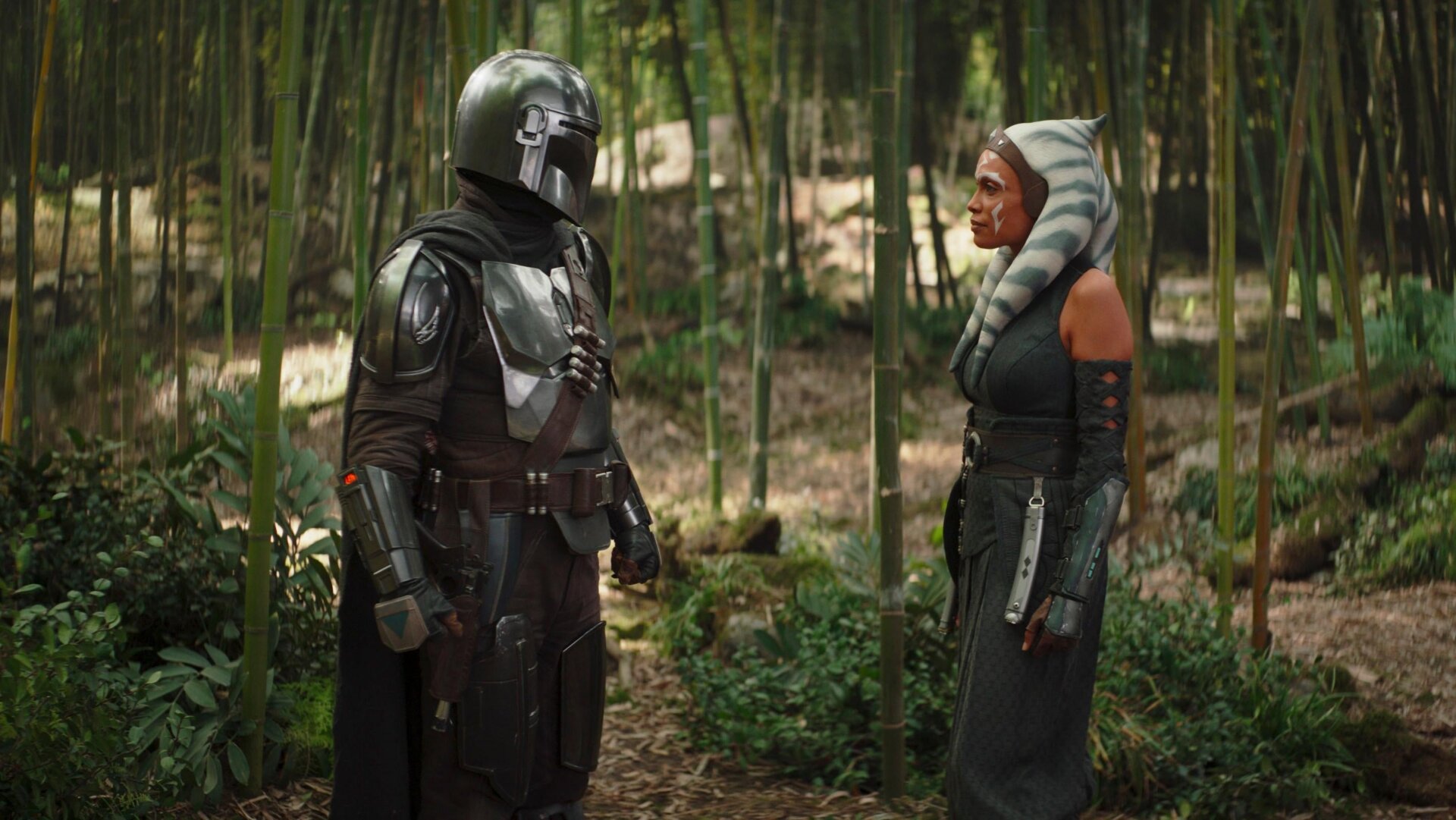 The Mandalorian chats with Ahsoka. 