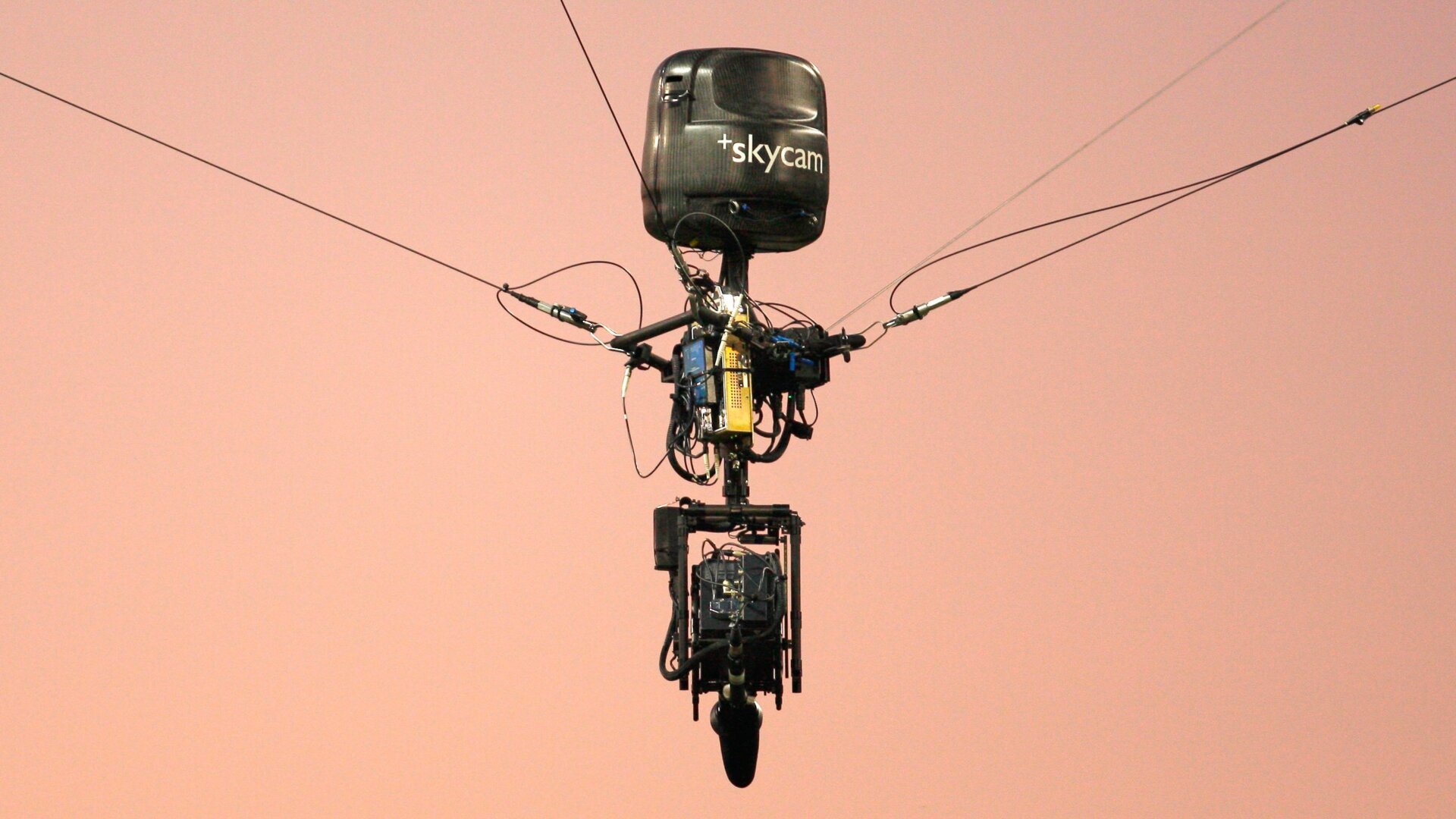 Image: Wikimedia - Despeaux