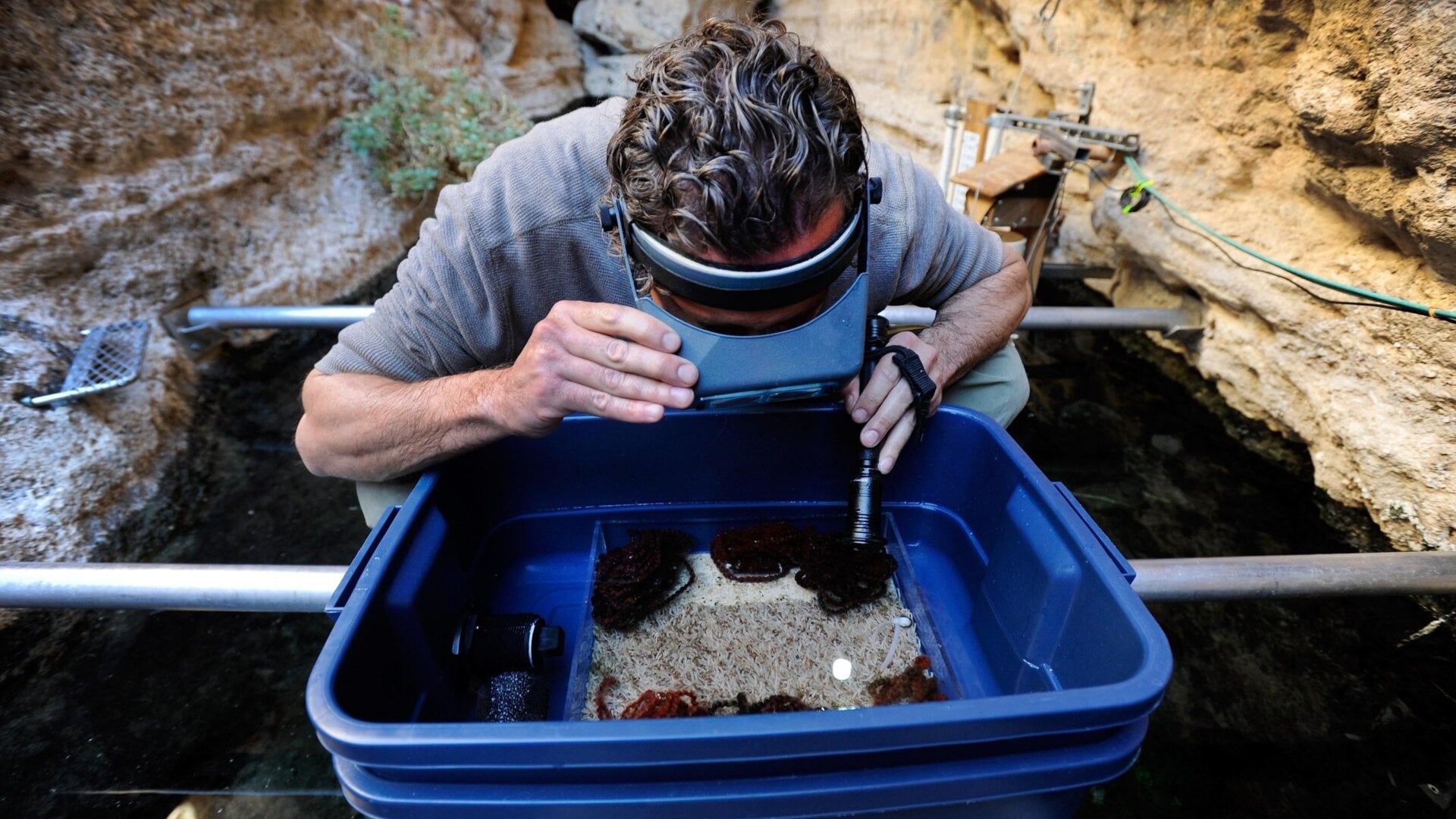An aquaculturist examines a water sample for fish eggs.