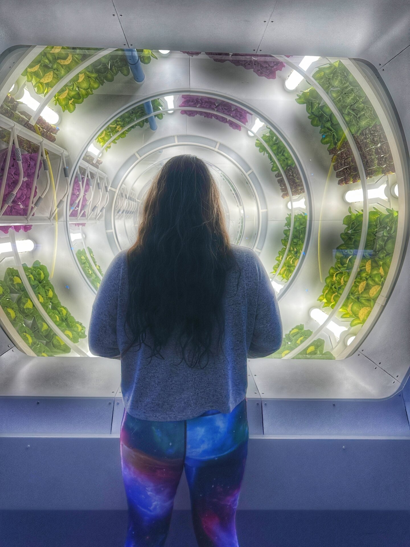 Photo: Sabina Graves/Gizmodo