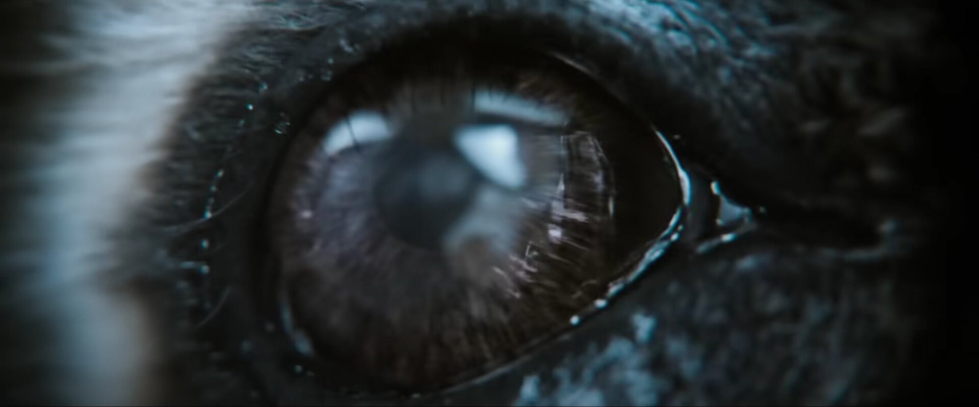 Screenshot: Marvel Entertainment