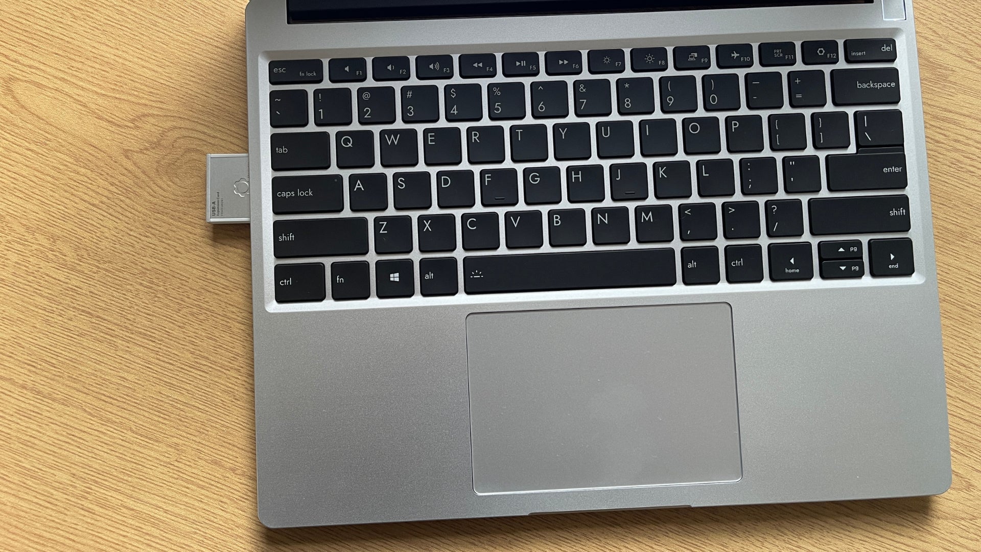 Photo: Rachael Phillips