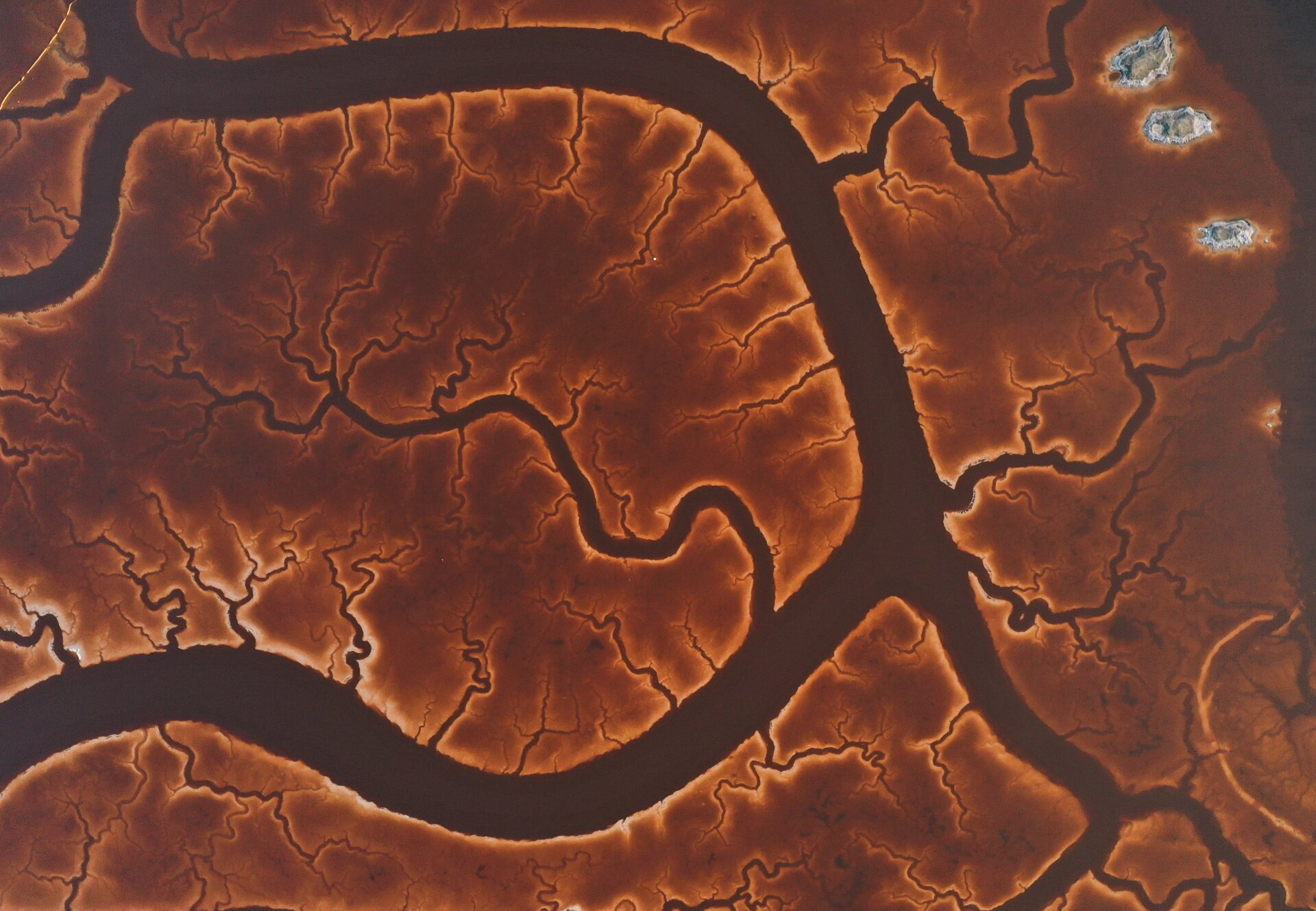 Photo: Tayfun Coskun c/o National Geographic