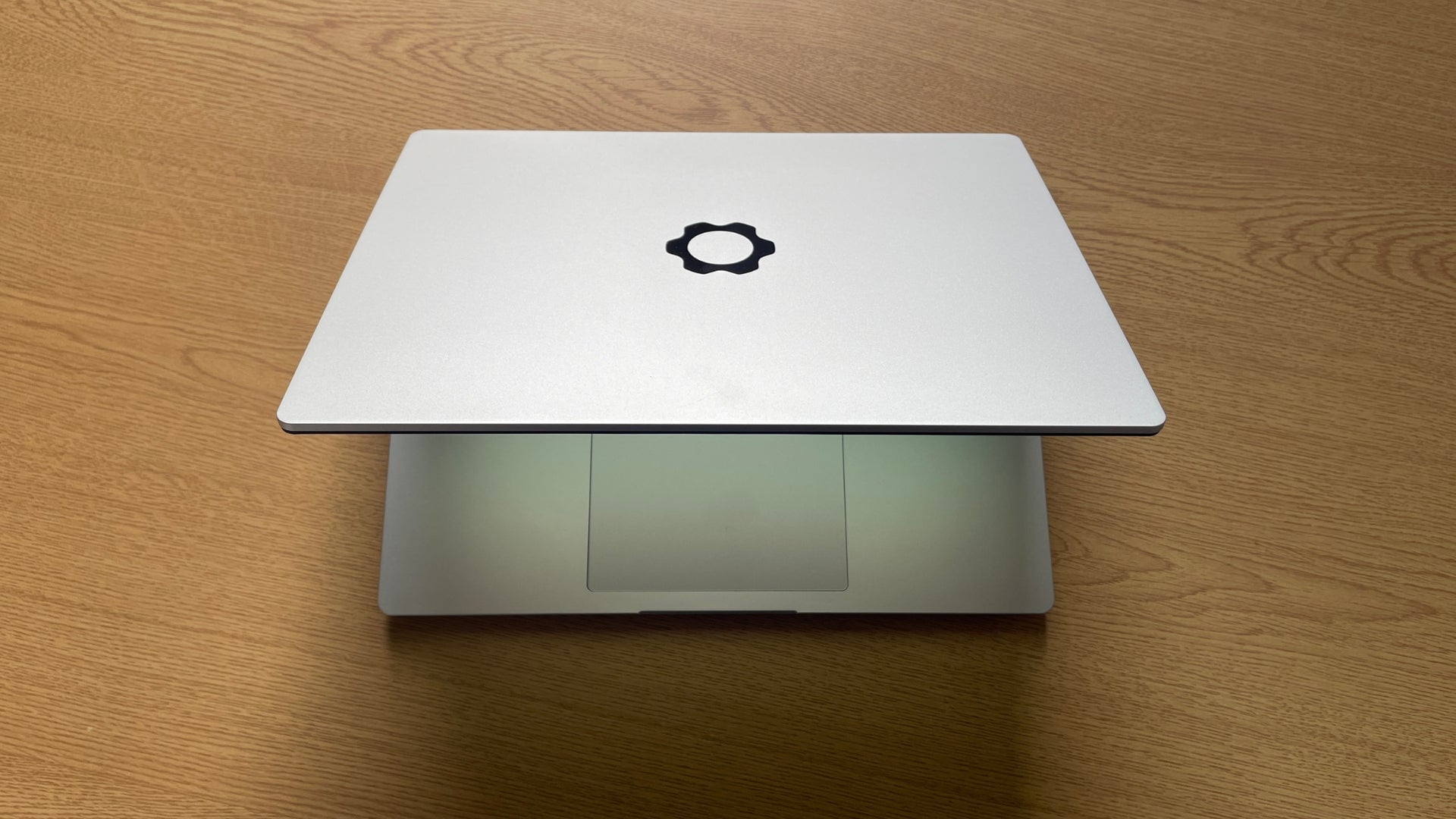 Photo: Rachael Phillips