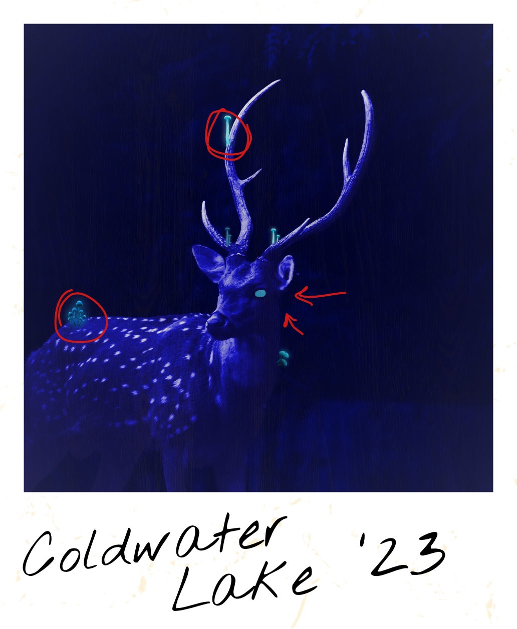 Image: Goblin Archives