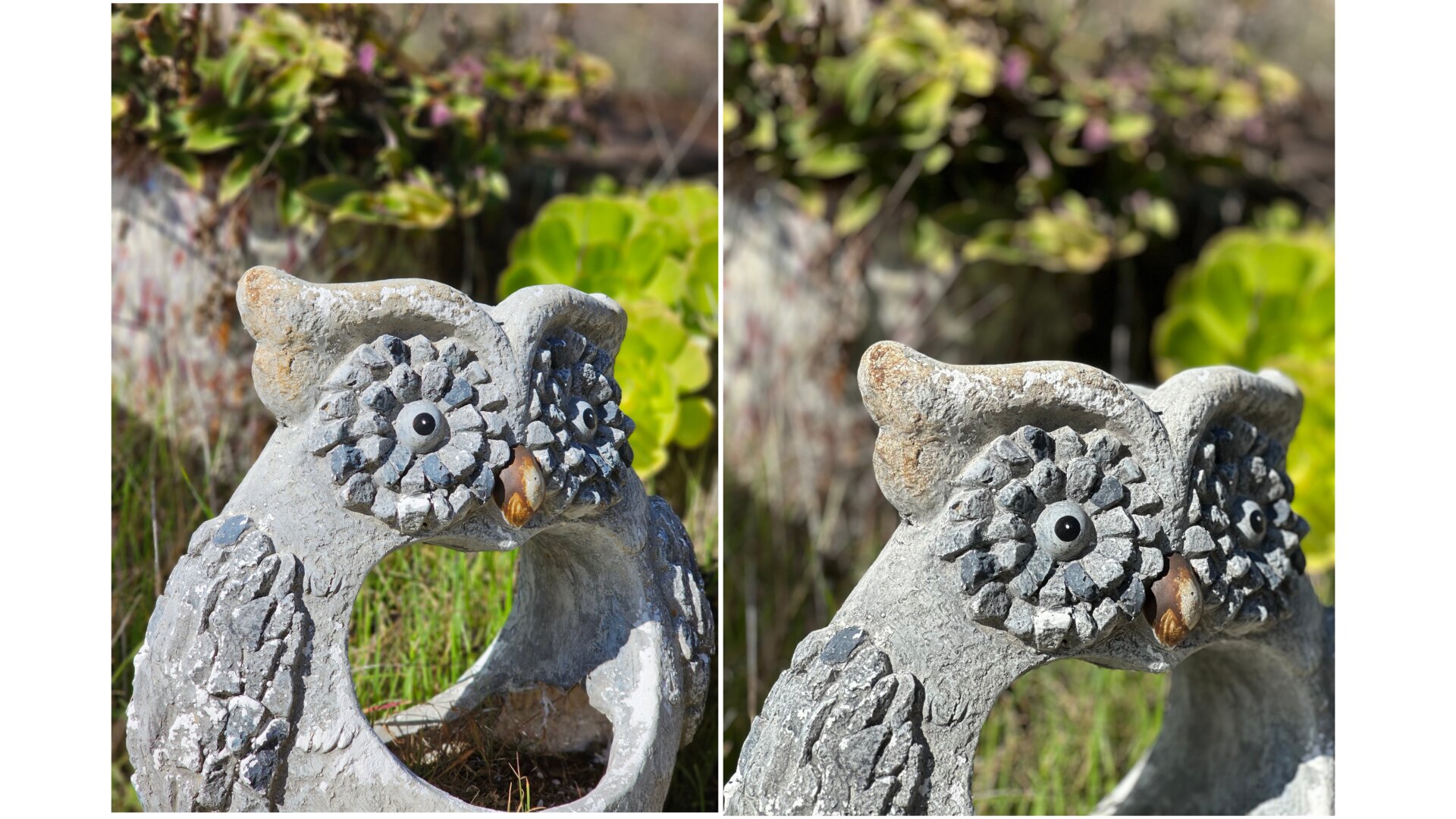 Photo: Florence Ion / Gizmodo