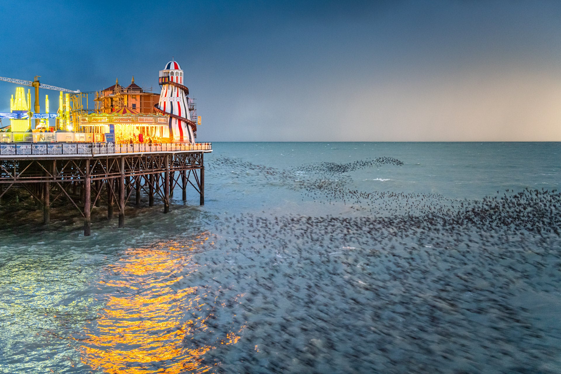 Murmurations of starlings off of Brighton Pier.
