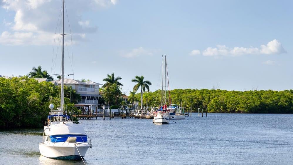 Image: Alexandra Rotanova