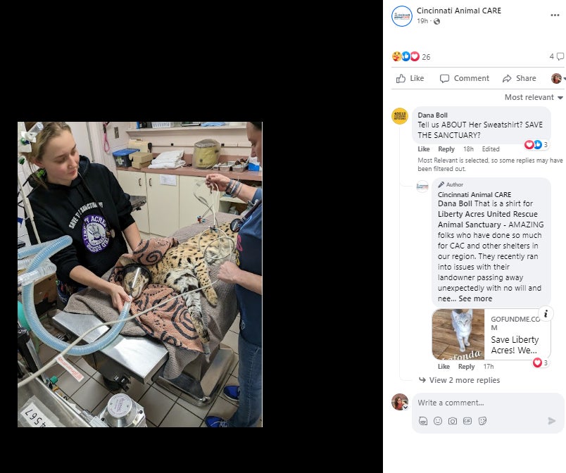 The animal shelter included multiple photos of Amiry’s capture and care along with its statement on Thursday.