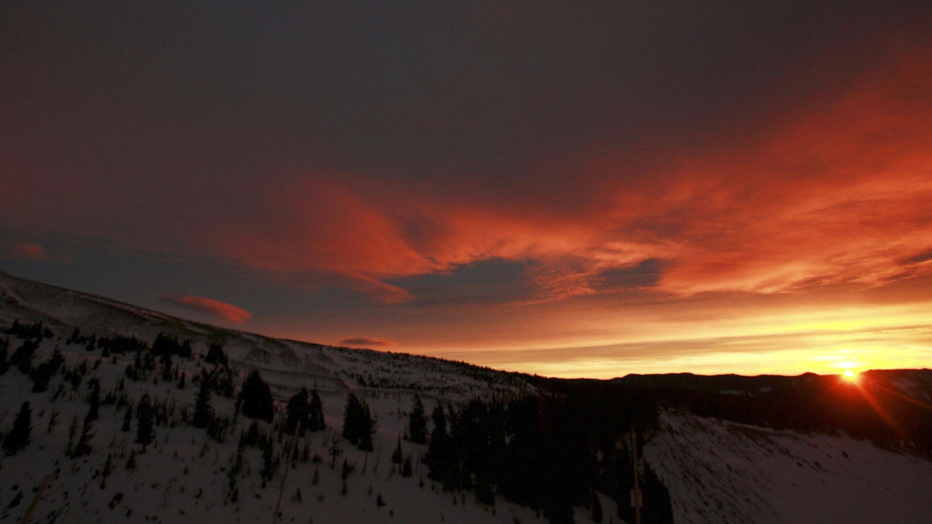 Photo: Craig Mitchelldyer