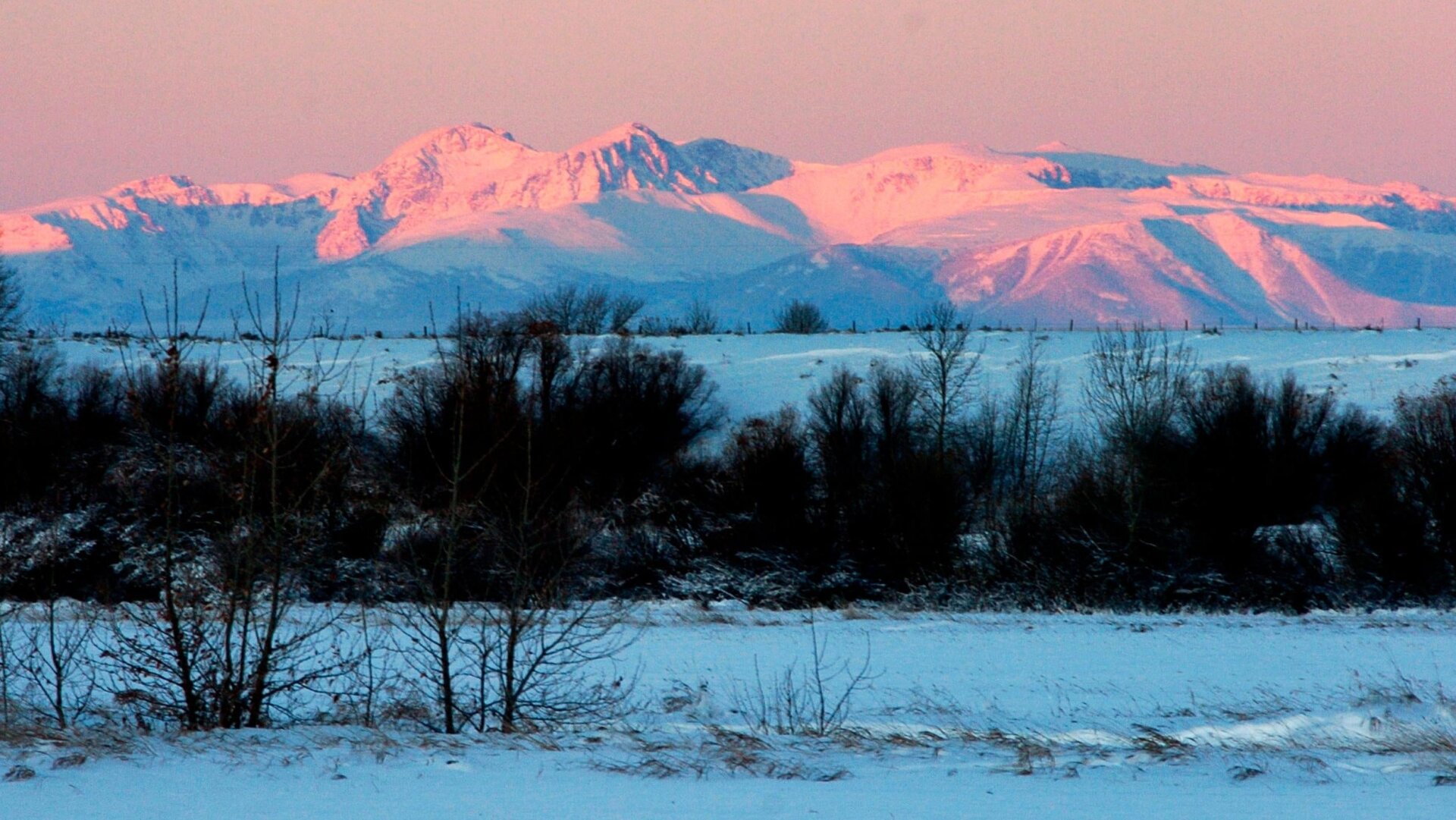 Photo: Matthew Brown