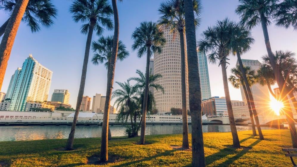 Image: Henryk Sadura