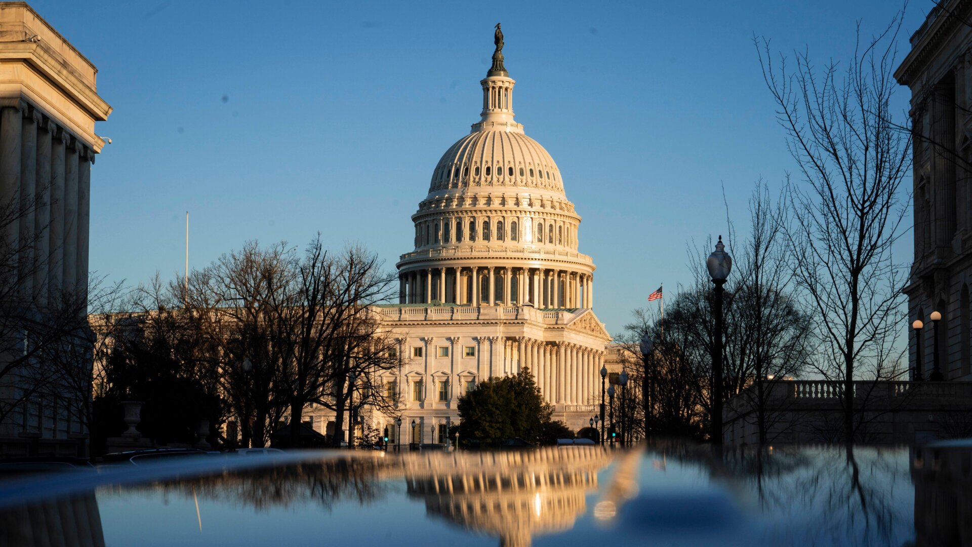 Photo: Sarah Silbiger