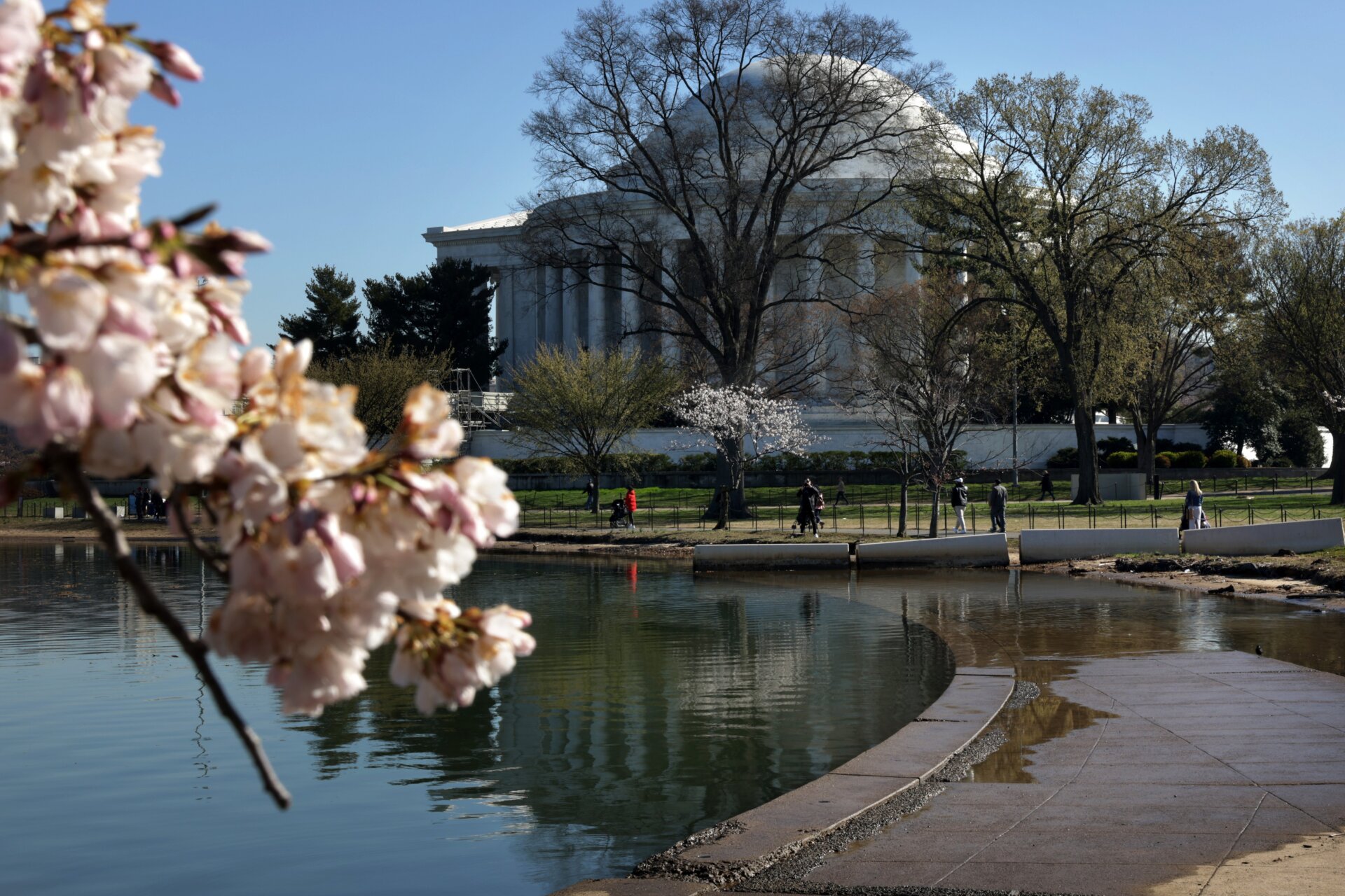 The Jefferson Memorial in the background of the spring blossoms. (March 21, 2023)
