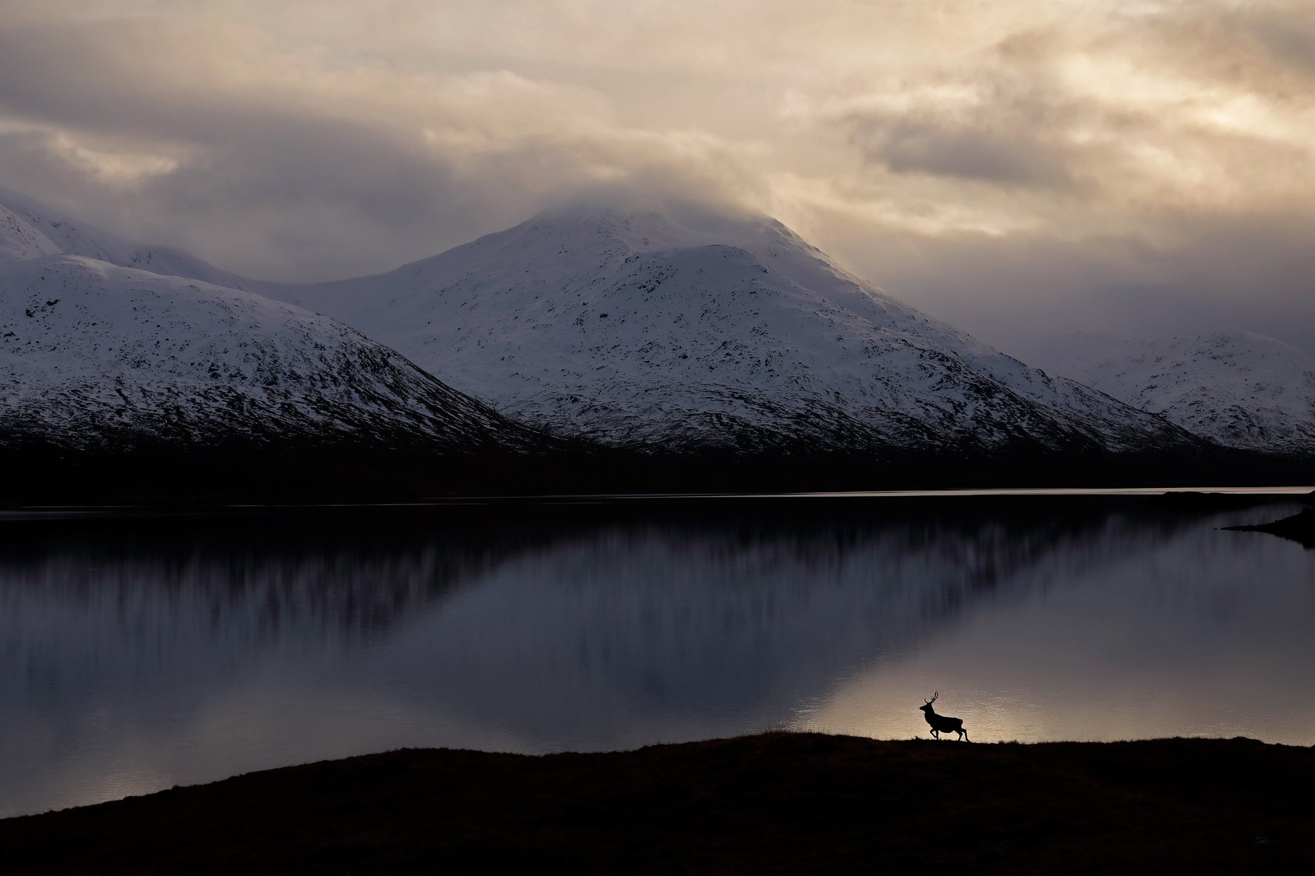 A stag silhouetted by a loch in Scotland’s Western Highlands.
