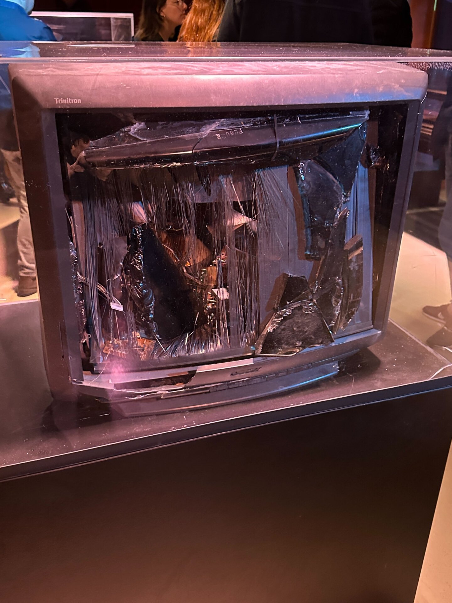 Photo: Sabina Graves/Gizmodo