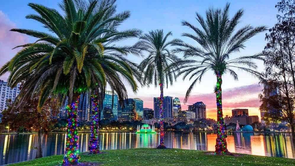 Image: ESB Professional