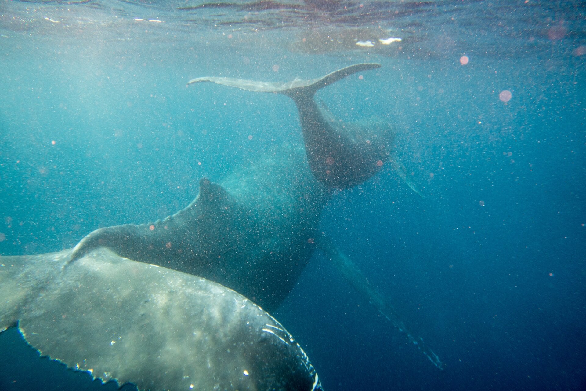 Photo: Hisayuki Tsuchiya