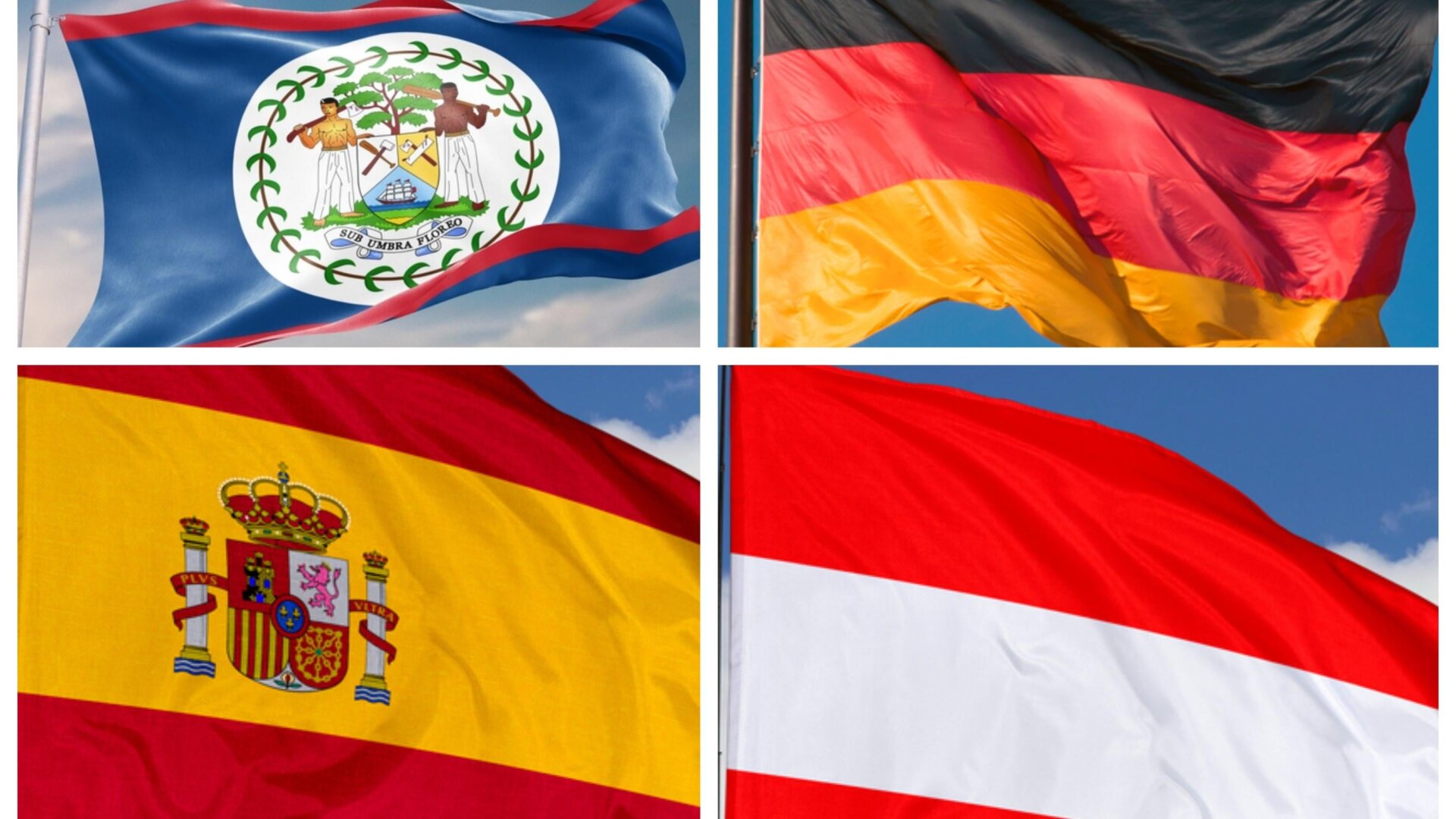 Image: Mini Onion (top left) Bildagentur Zoonar GmbH (top right) Tatohra (bottom left & right)