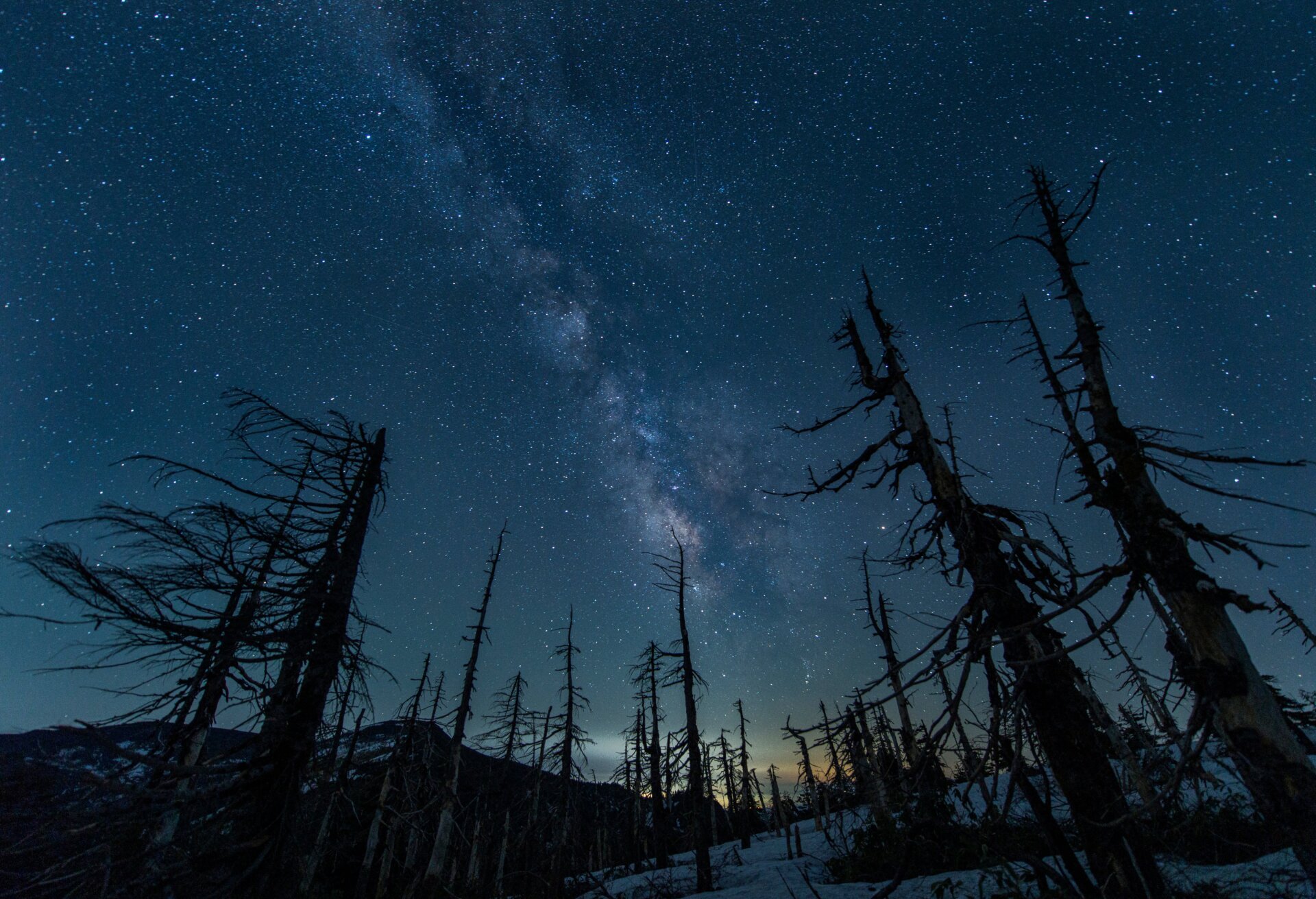 Photo: Kazuaki Koseki