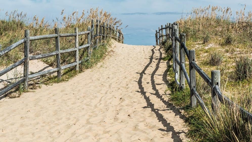 Image: Sherry V Smith