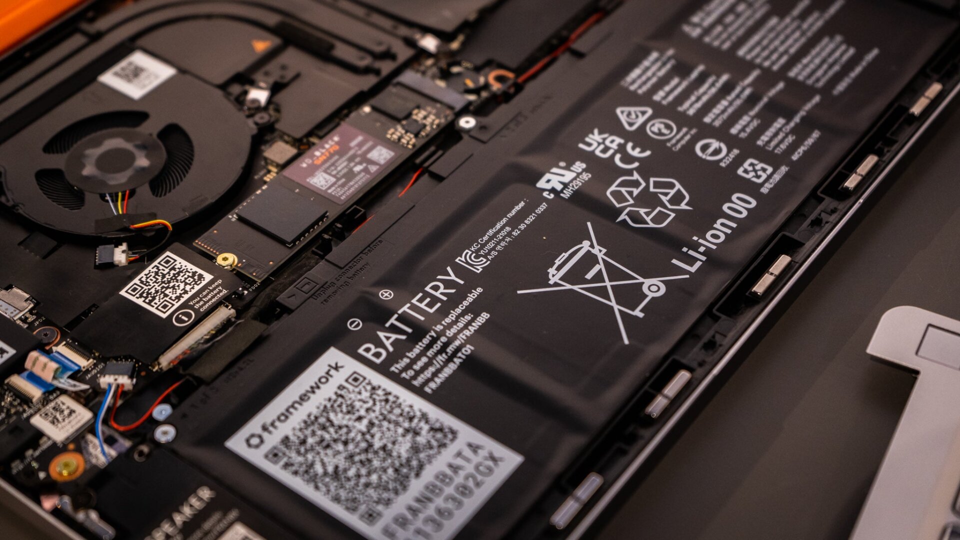 Photo: Florence Ion / Gizmodo