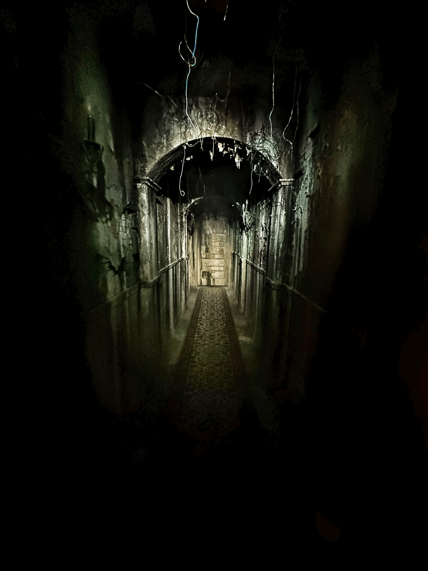 Image: Courtesy of Egan Escape Productions