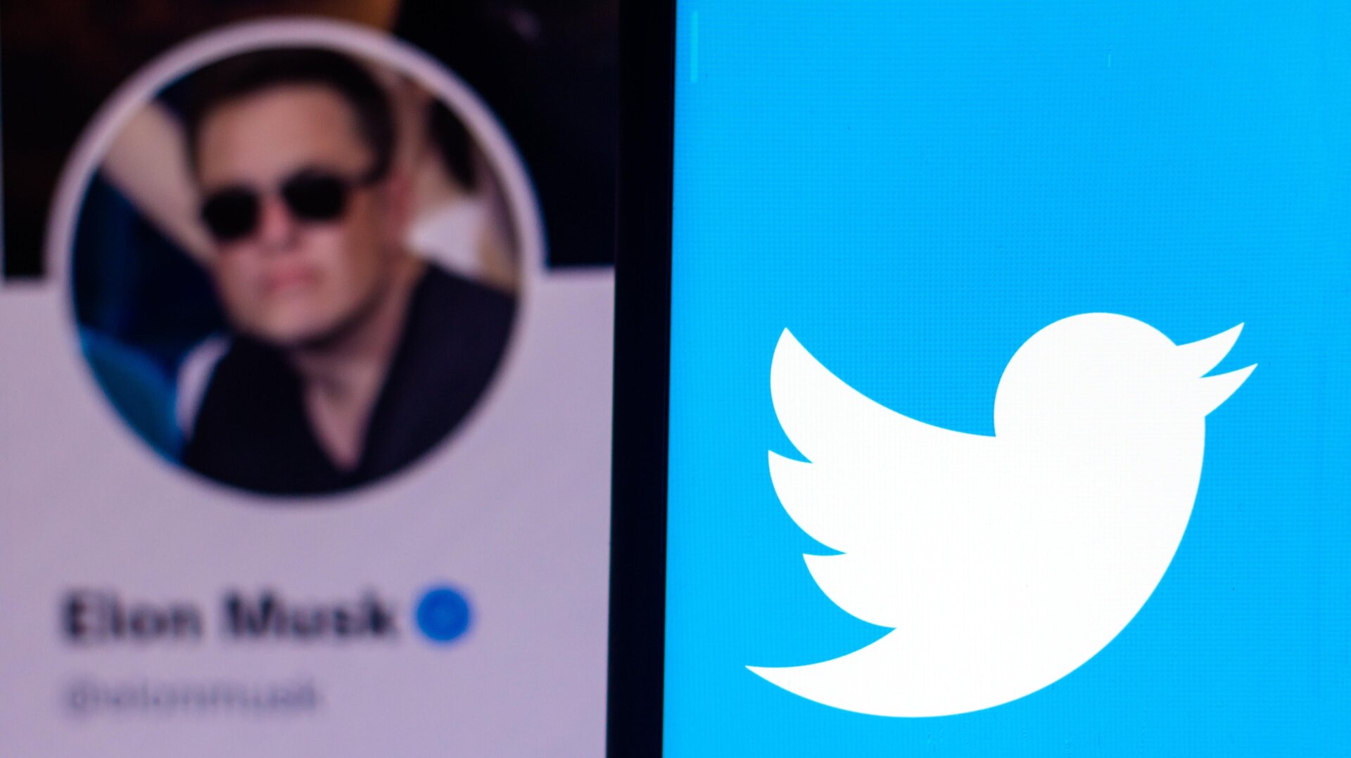 Don’t worry, Elon Musk pays for his Twitter blue check through constant online humiliation.