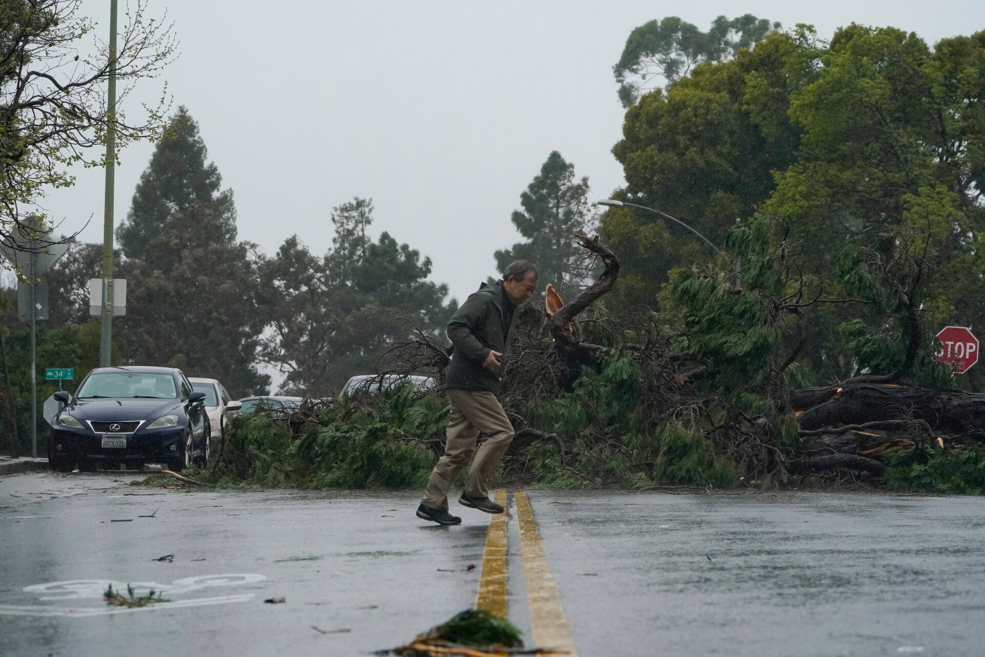 A tree downed by high winds blocks Webster Street in Oakland, California, Tuesday, March 21, 2023.