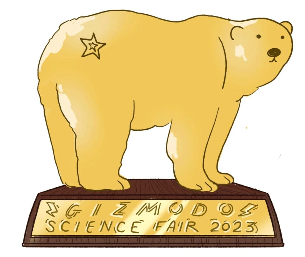 Polar Bears Burr Science Fair