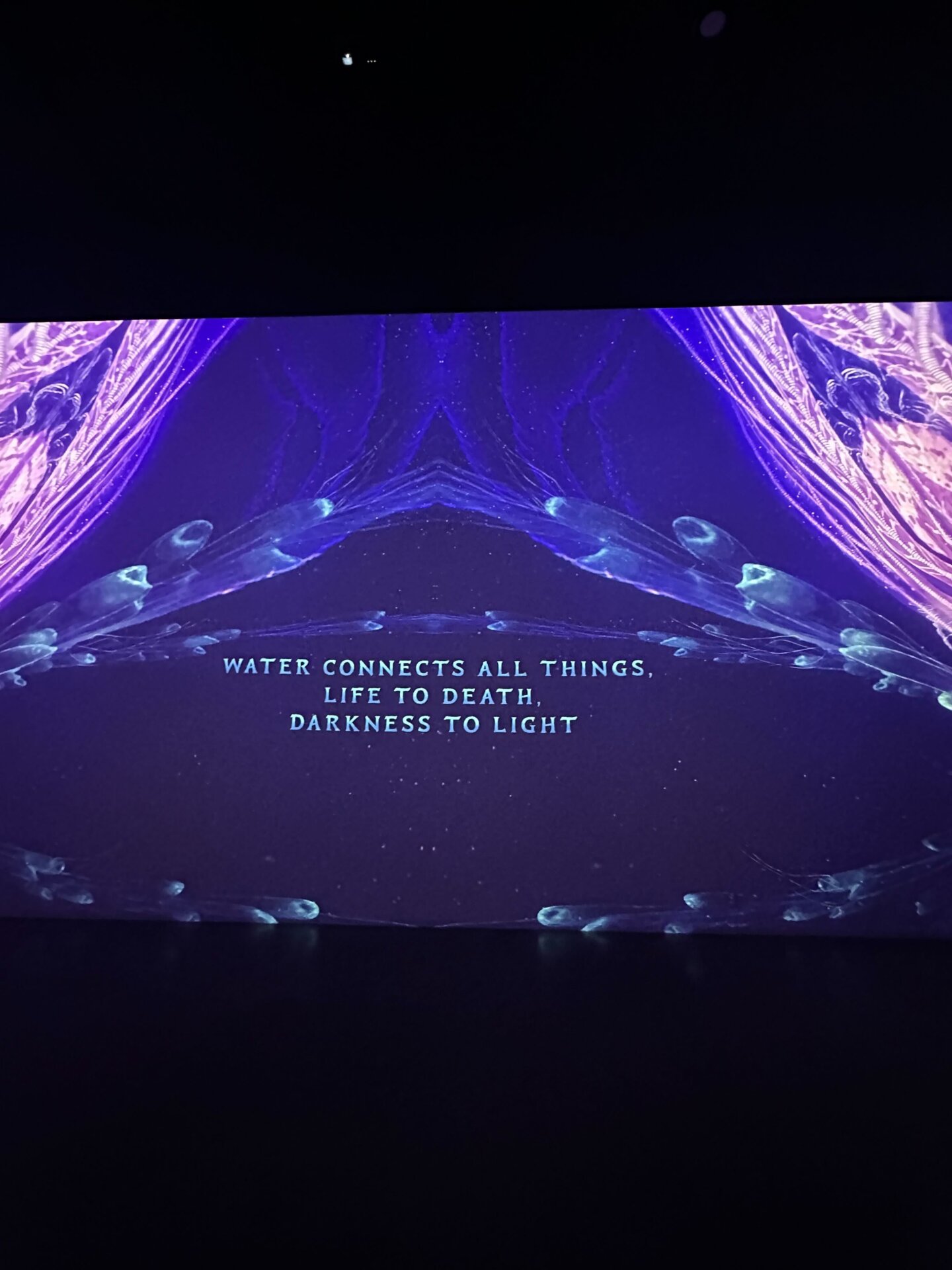 Photo: Sabina Graves/Gizmodo