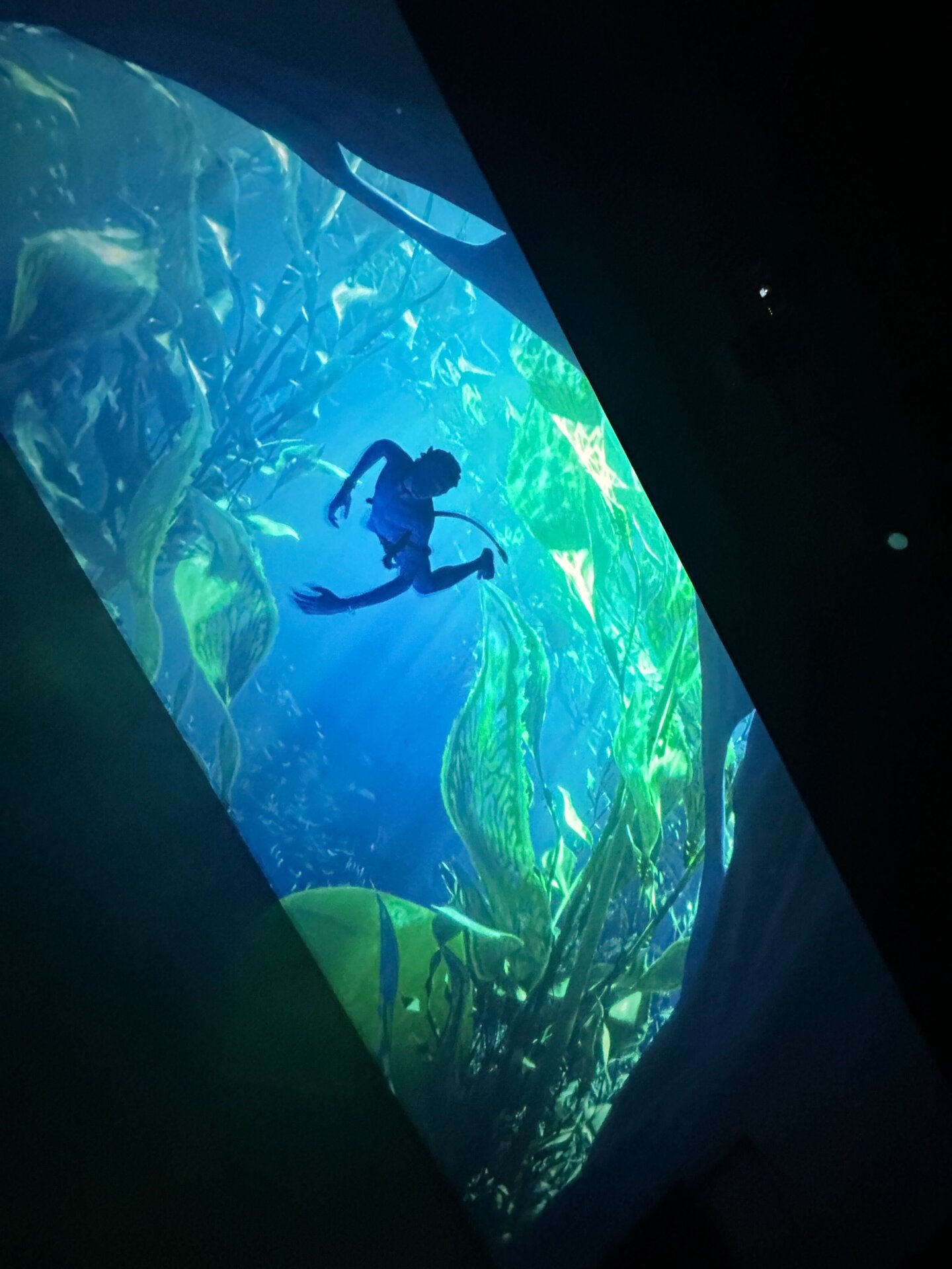 Photo: Sabina Graves/Gizmodo